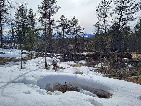 1031 Chateau West Dr, Florissant, CO 80816