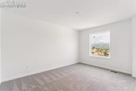 16799 Starfall Dr, Monument, CO 80132 photo 11