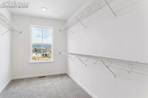 16799 Starfall Dr, Monument, CO 80132 photo 18