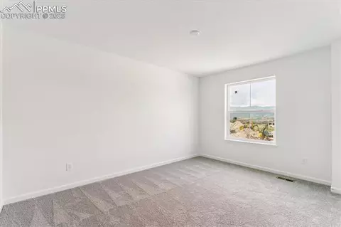 16799 Starfall Dr, Monument, CO 80132 photo 11