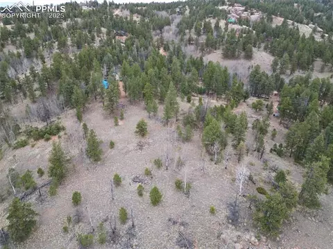 475 Pinon Ln, Florissant, CO 80816