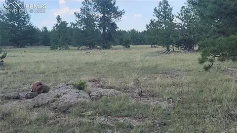 101 B1 Ring Rd, Guffey, CO 80820 photo 7