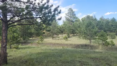 101 B1 Ring Rd, Guffey, CO 80820 photo 5