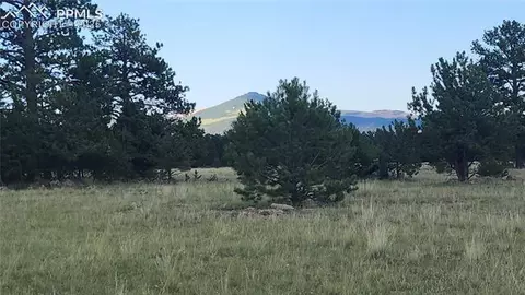 101 B1 Ring Rd, Guffey, CO 80820 photo 6