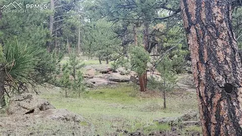 101 B1 Ring Rd, Guffey, CO 80820 photo 8