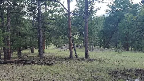 101 B1 Ring Rd, Guffey, CO 80820 photo 3