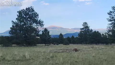 101 B1 Ring Rd, Guffey, CO 80820 photo 2