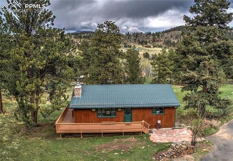 239 Yew Ln, Bailey, CO 80421 photo 1