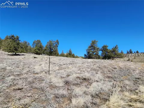 Spruce Street, Hartsel, CO 80449