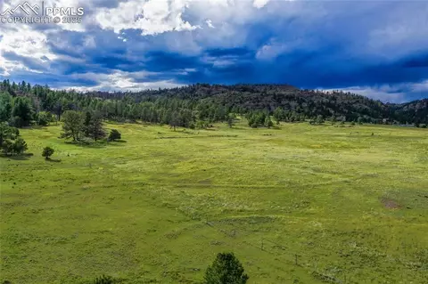 Spring Valley Drive, Florissant, CO 80816