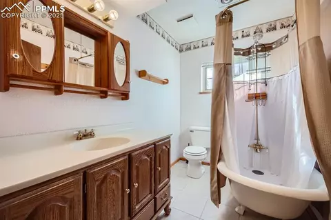 365 Alpine View Rd, Divide, CO 80814 photo 12