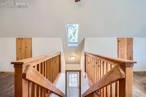 365 Alpine View Rd, Divide, CO 80814 photo 20