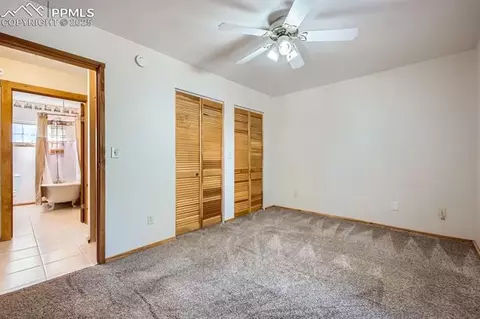365 Alpine View Rd, Divide, CO 80814 photo 8