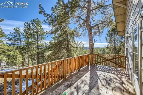 365 Alpine View Rd, Divide, CO 80814 photo 21