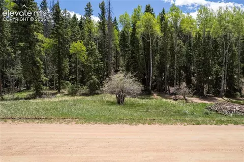 546 Spring Valley Ln, Florissant, CO 80816