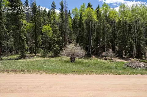 546 Spring Valley Ln, Florissant, CO 80816