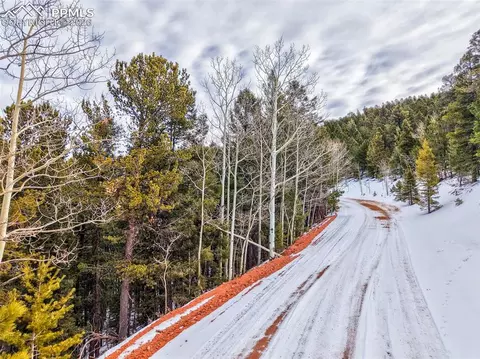 165 Witherite Dr, Divide, CO 80814