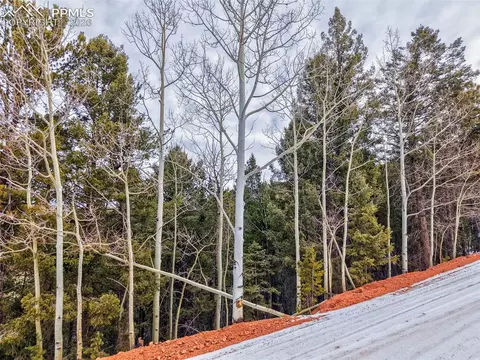 165 Witherite Dr, Divide, CO 80814 photo 3