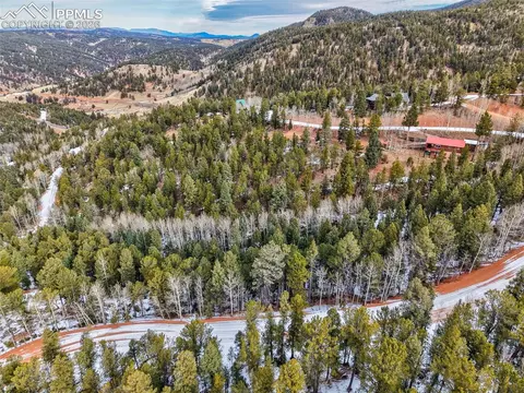 165 Witherite Dr, Divide, CO 80814 photo 2