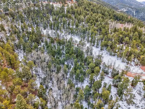 165 Witherite Dr, Divide, CO 80814 photo 10
