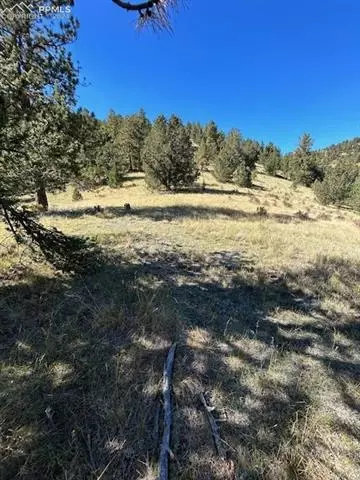 County Road 8, Victor, CO 80860