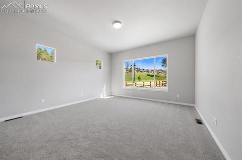 16297 Forest Cloud Way, Monument, CO 80132 photo 24