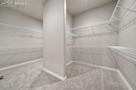 16297 Forest Cloud Way, Monument, CO 80132 photo 29