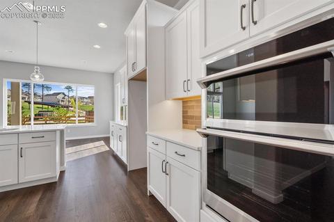 16297 Forest Cloud Way, Monument, CO 80132 photo 17