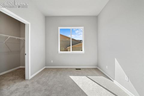 16297 Forest Cloud Way, Monument, CO 80132 photo 19