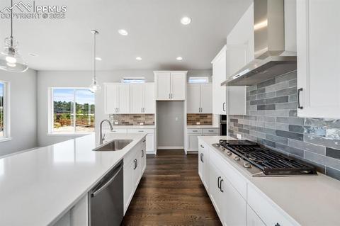 16297 Forest Cloud Way, Monument, CO 80132 photo 15