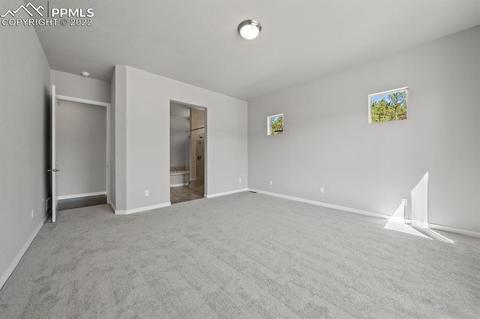 16297 Forest Cloud Way, Monument, CO 80132 photo 25