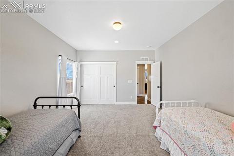 9546 Summer Sky Ln, Peyton, CO 80831 photo 20