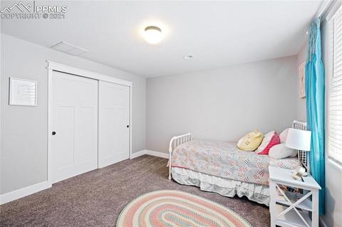 9546 Summer Sky Ln, Peyton, CO 80831 photo 30