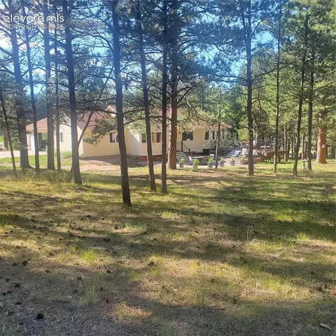 Exterior - 4882 Antelope Trl, Elbert, CO 80106 photo 9 of 9