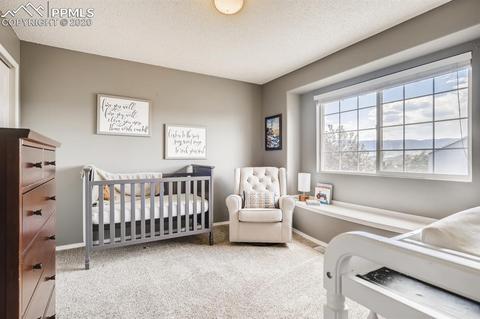 253 Talus Rd, Monument, CO 80132 photo 9