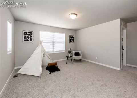 10071 Henman Ter, Peyton, CO 80831 photo 21