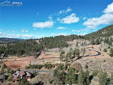 1420 Red Haven Pl, Woodland Park, CO 80863