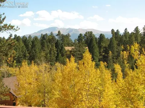 56 Aspen Cir, Divide, CO 80814 photo 1