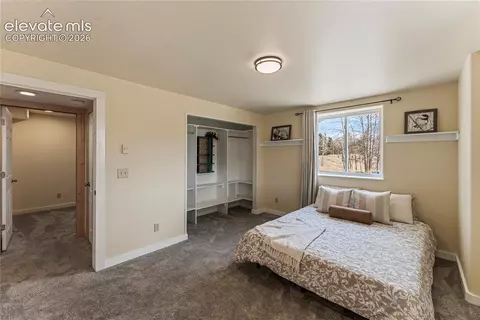 Bedroom - 3543 Blue Mesa Dr, Divide, CO 80814 photo 5 of 5