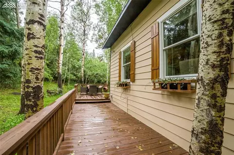 9720 Mountain Rd, Cascade, CO 80809 photo 8