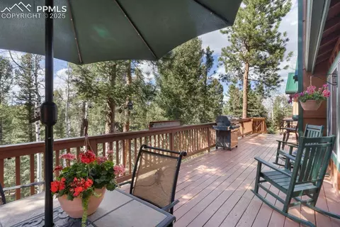 4055 Omer Ln, Divide, CO 80814 photo 29