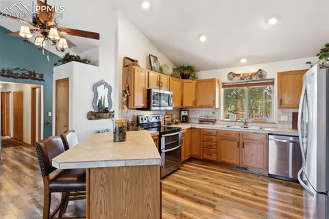 4055 Omer Ln, Divide, CO 80814 photo 6