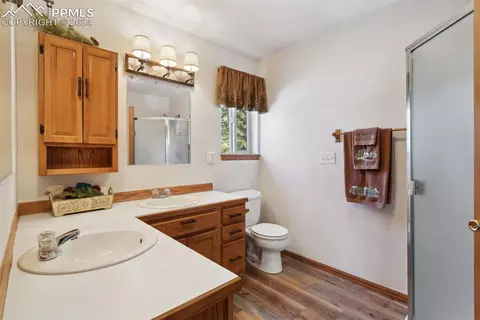 4055 Omer Ln, Divide, CO 80814 photo 18