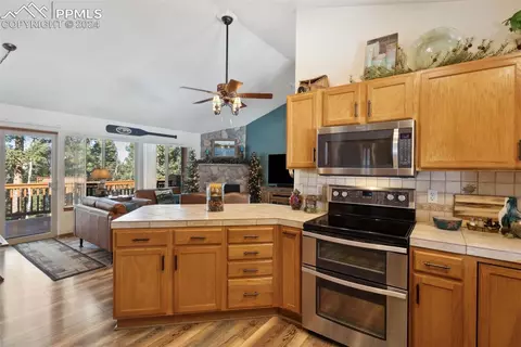 4055 Omer Ln, Divide, CO 80814 photo 13