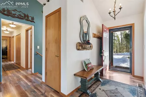 4055 Omer Ln, Divide, CO 80814 photo 10