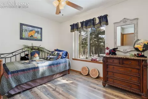 4055 Omer Ln, Divide, CO 80814 photo 20