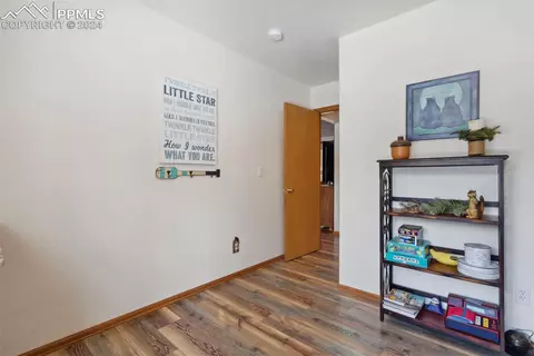 4055 Omer Ln, Divide, CO 80814 photo 23
