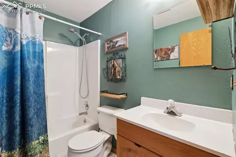 4055 Omer Ln, Divide, CO 80814 photo 28