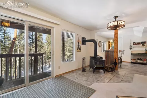 4055 Omer Ln, Divide, CO 80814 photo 27