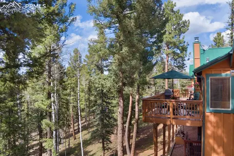 4055 Omer Ln, Divide, CO 80814 photo 42